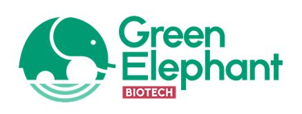 Link zur Green Elephant Webseite